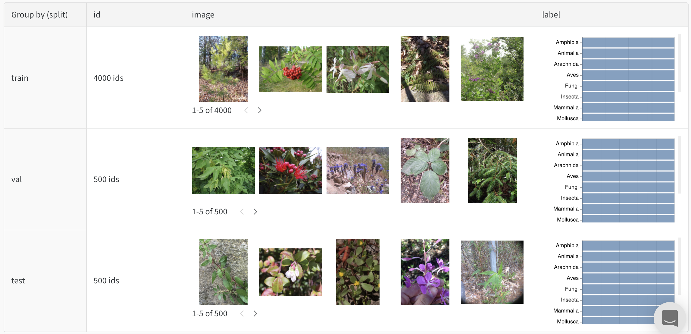 データのカウントと分布を確認する